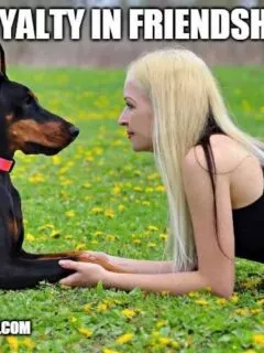 Loyalty in friendship
