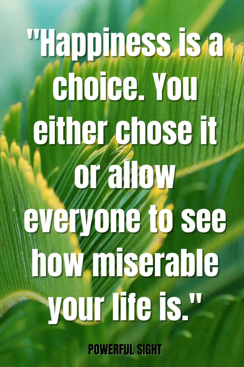 what's happiness quotes