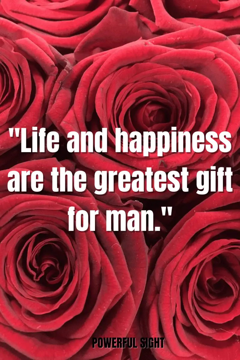 Happiness quote