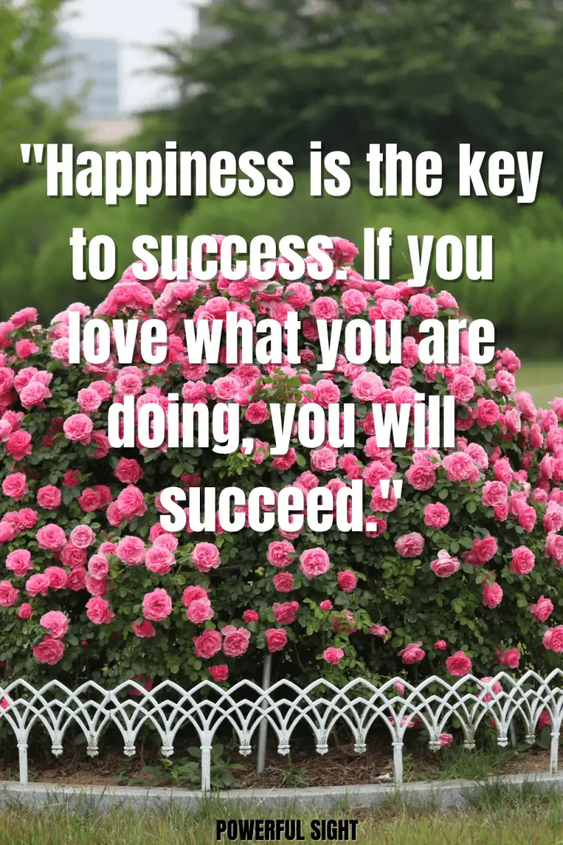 Quote on what happiness is