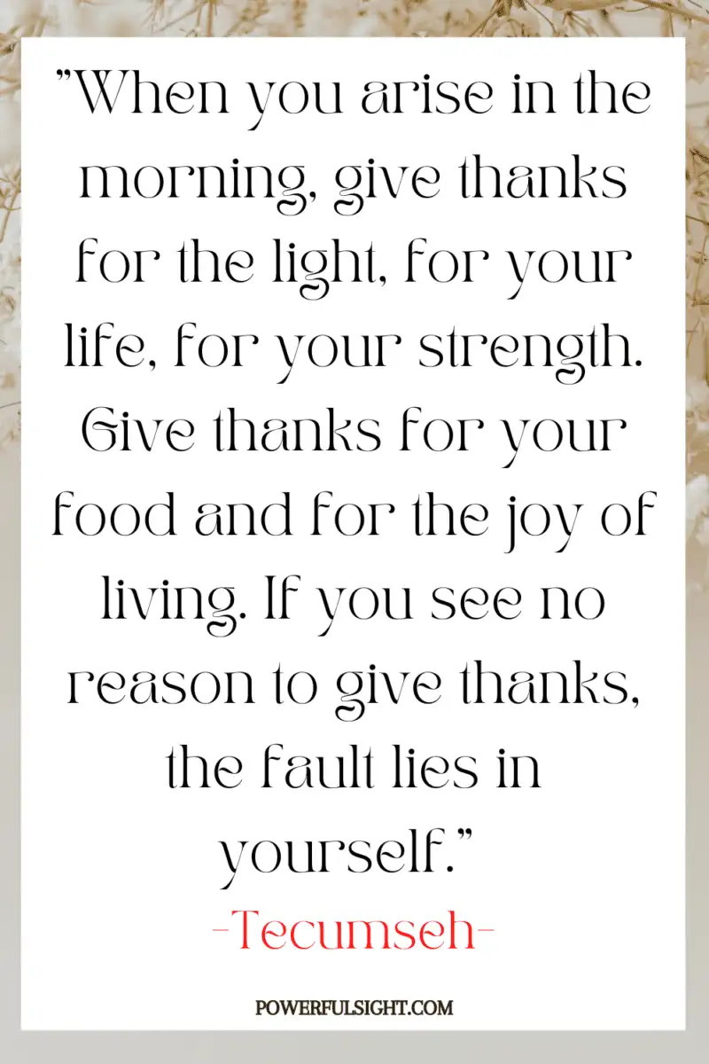 "When you arise in the morning, give thanks for the light, for your life, for your strength. Give thanks for your food and for the joy of living. If you see no reason to give thanks, the fault lies in yourself."