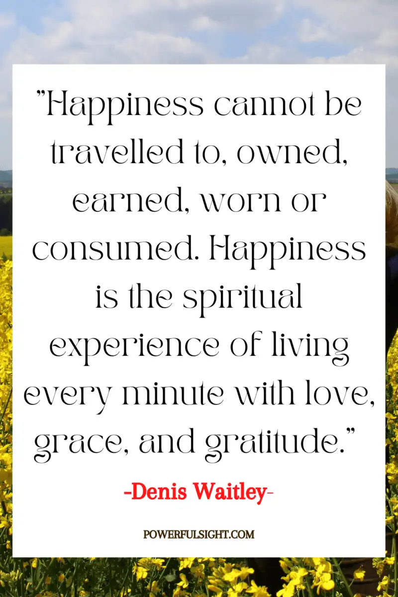 "Happiness cannot be travelled to, owned, earned, worn or consumed. Happiness is the spiritual experience of living every minute with love, grace, and gratitude."