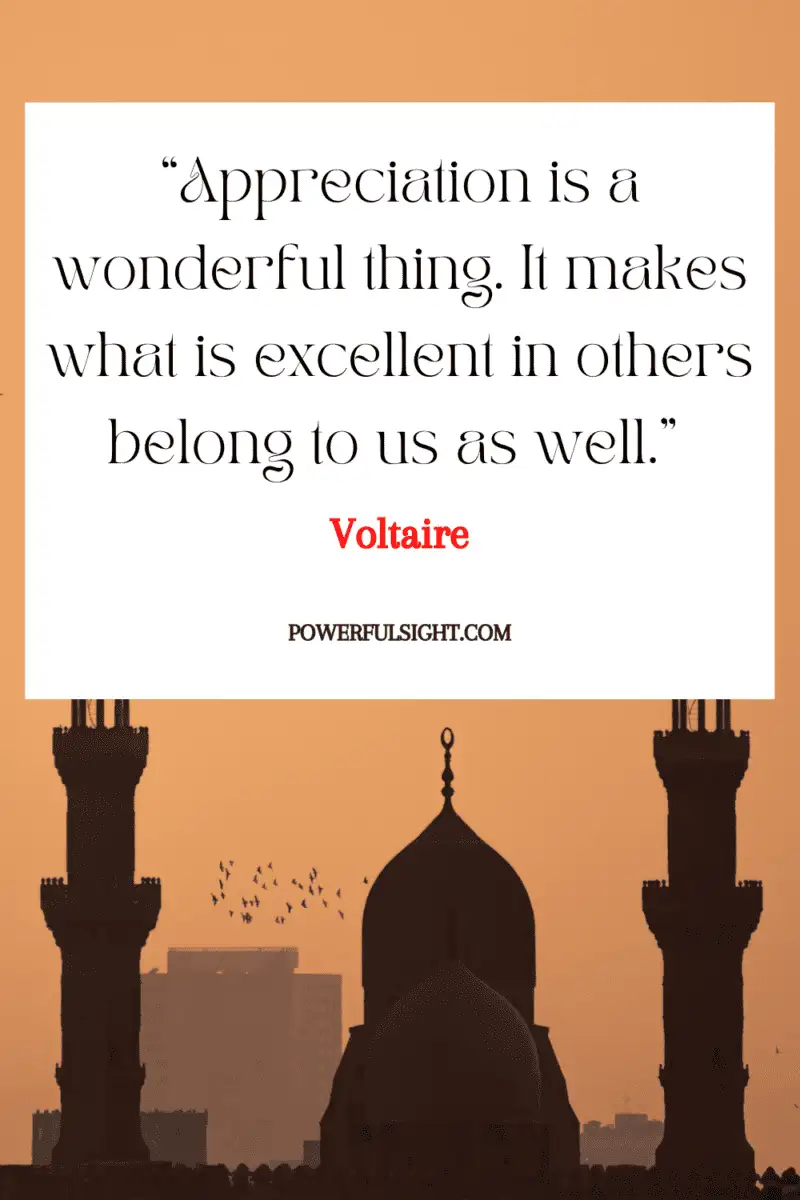 “Appreciation is a wonderful thing. It makes what is excellent in others belong to us as well.”