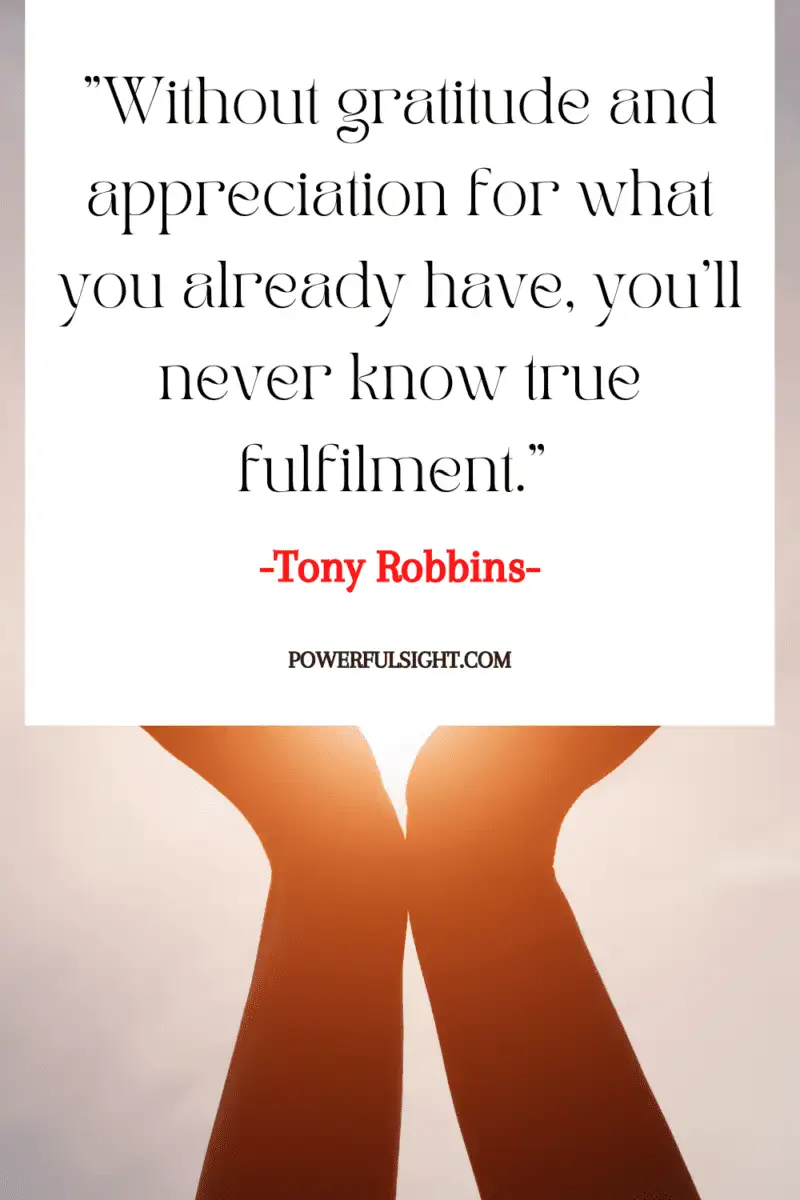 "Without gratitude and appreciation for what you already have, you’ll never know true fulfilment."