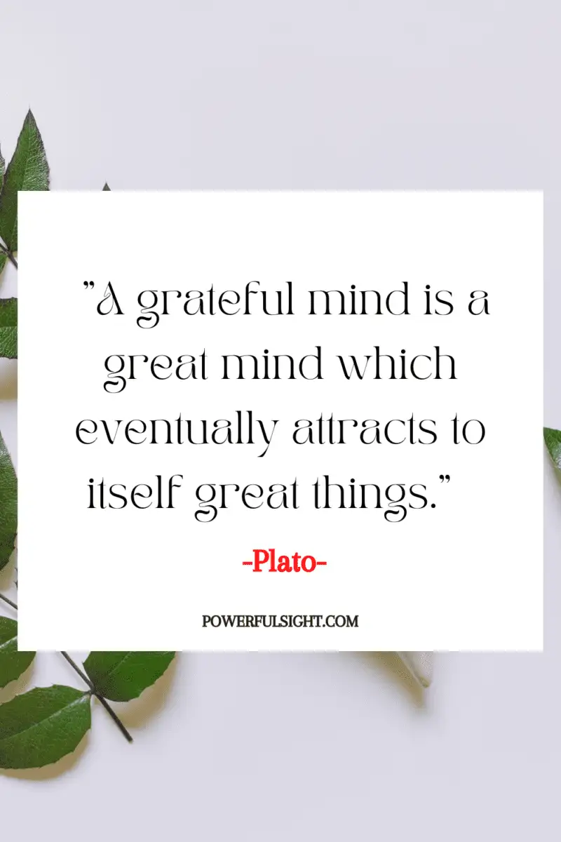 "A grateful mind is a great mind which eventually attracts to itself great things."