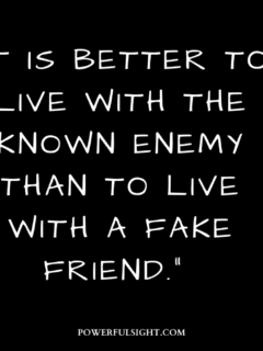 Fake friend quotes