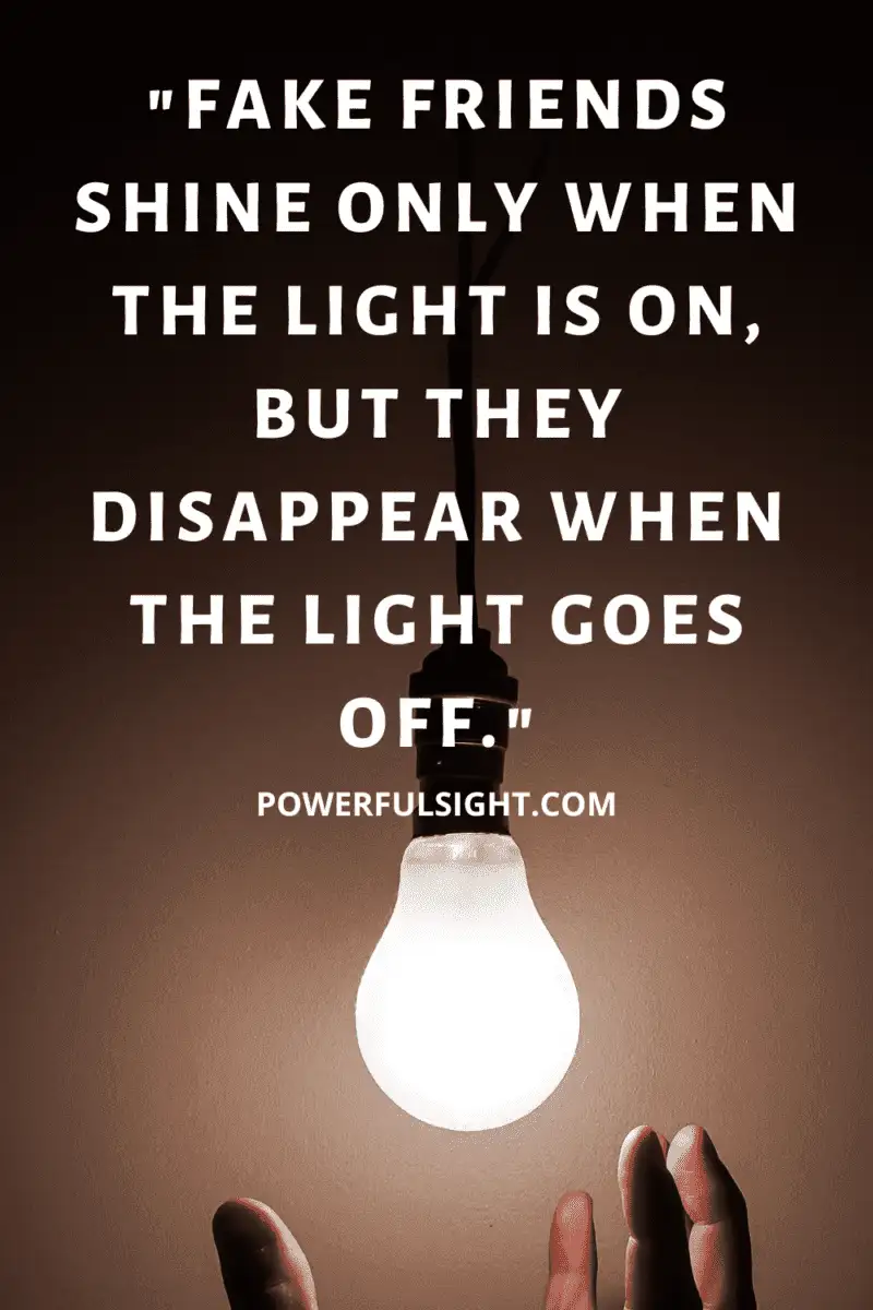 "Fake friends shine only when the light is on, but they disappear when the light goes off."