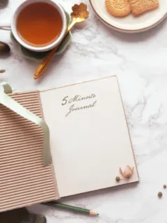 journal prompts for career