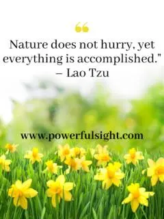 Quotes about spring
