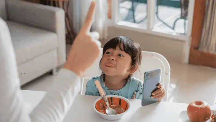 How To Discipline A Strong Willed Child