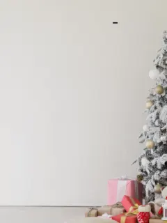 Christmas Trees Ideas