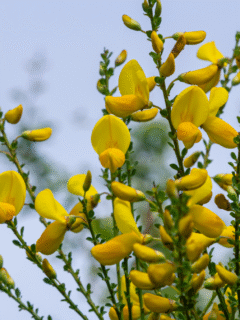 How to Live More Abundantly