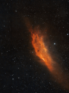 How to Manifest Gratitude from the Universe