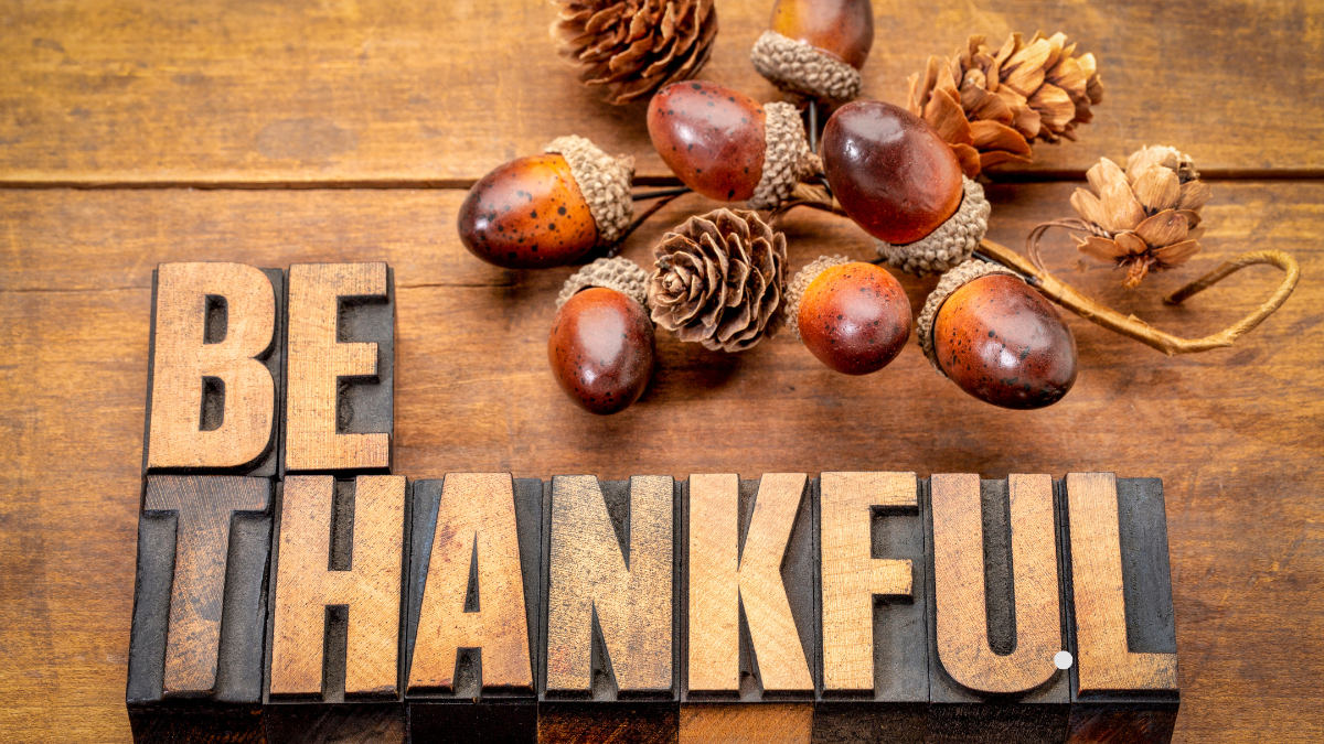 100 Quotes About Being Thankful 